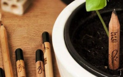Matite Sprout, le matite piantabili personalizzate per gadget
