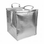 Bottle cooler bag