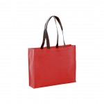 Non-woven bag