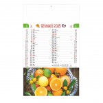 Calendario frutta e ortaggi