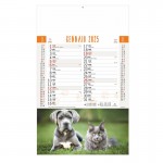 Calendario cani e gatti