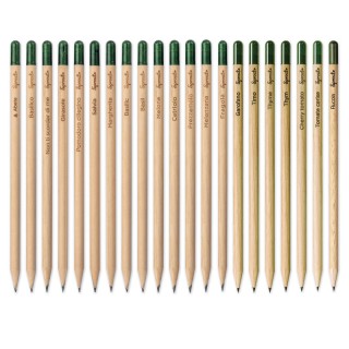 Plantable pencils